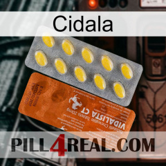 Cidala 42